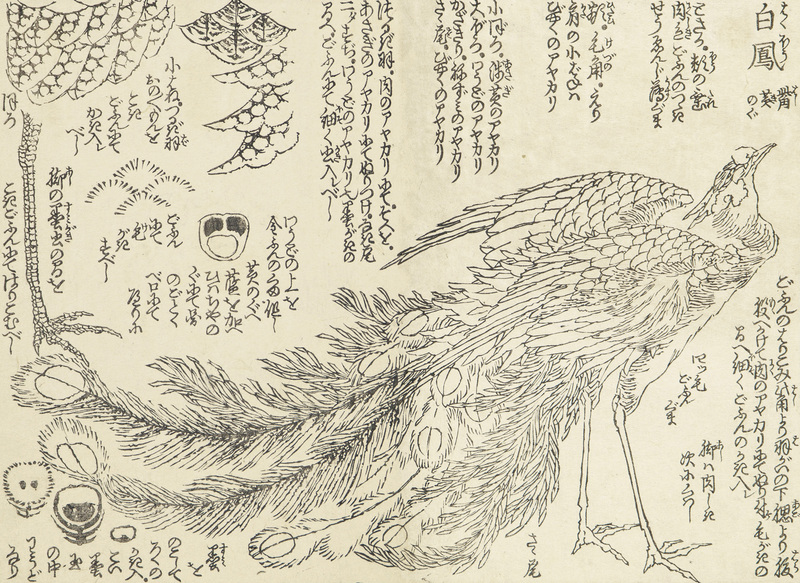 作品イメージ