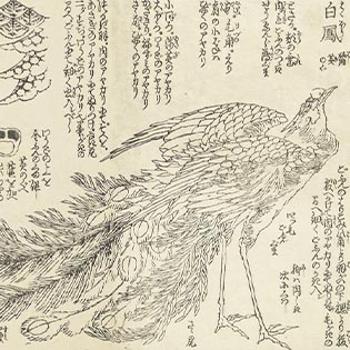 作品イメージ